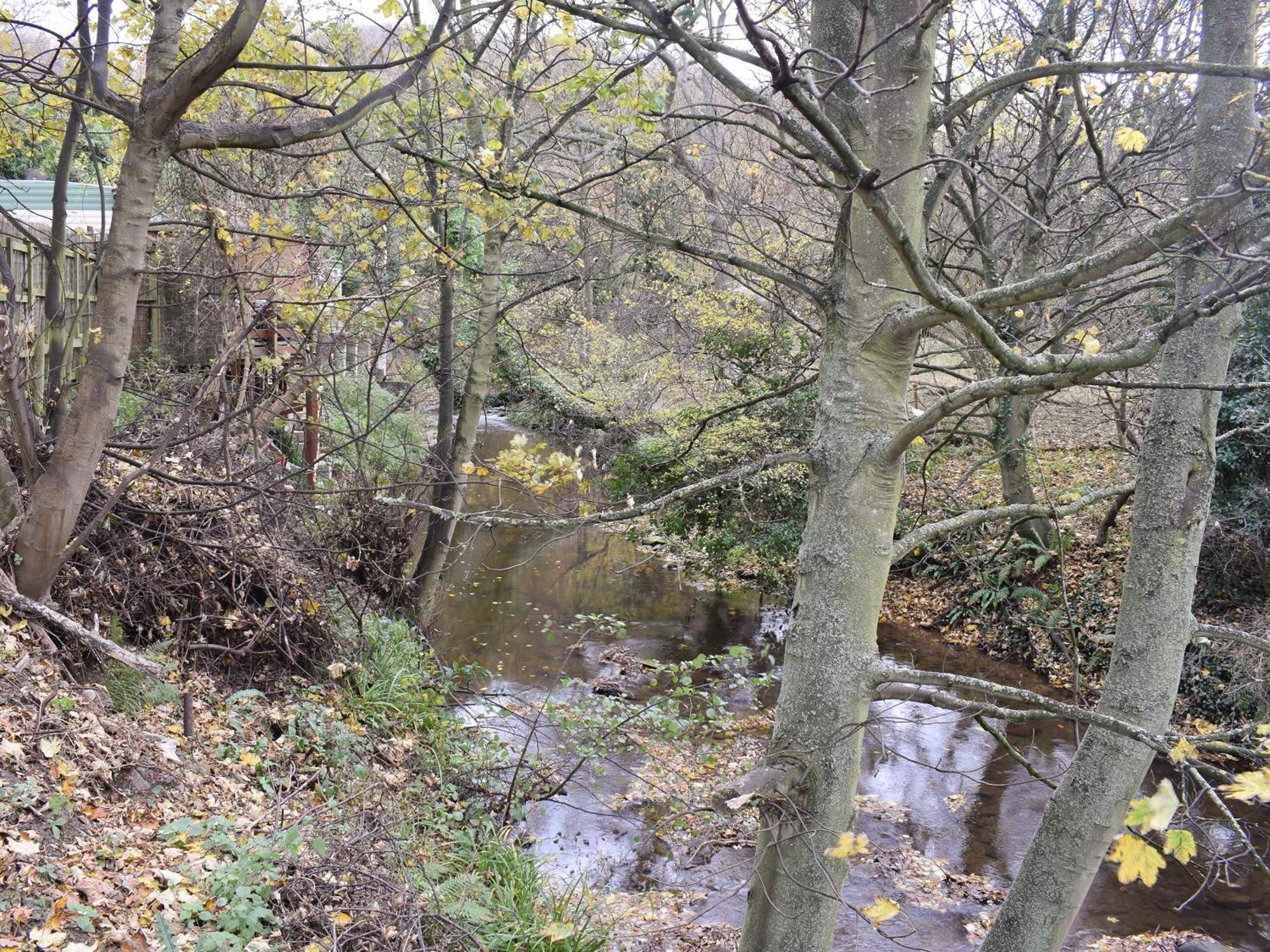 Pheasant Lodge Staithes Zewnętrze zdjęcie