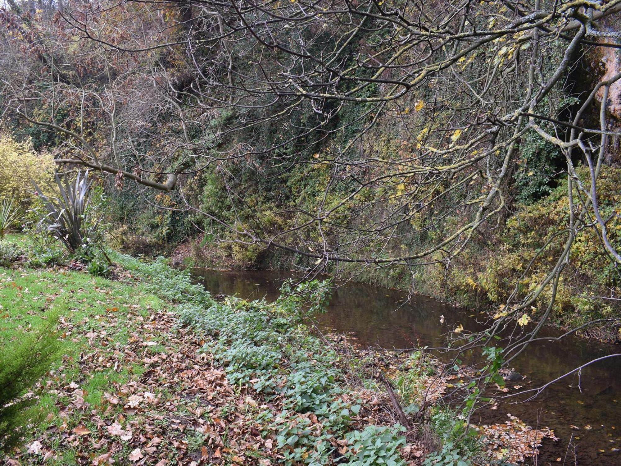 Pheasant Lodge Staithes Zewnętrze zdjęcie